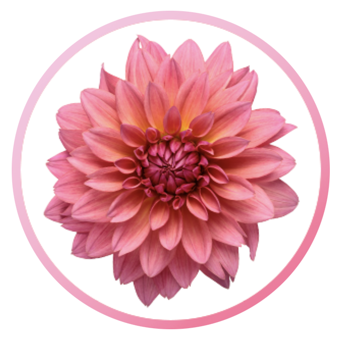Featured Plants